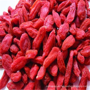 China Dried bulk Goji Berry medlar fruits for sale